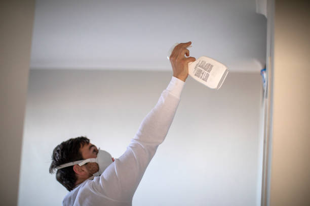 Best Mold Remediation Services  in Tripoli, IA