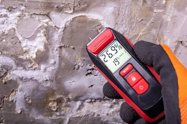 Best Toxic Mold Removal  in Tripoli, IA